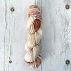 Scallop (Pre-order)
