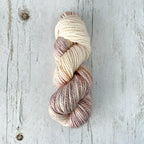 Scallop (Pre-order)
