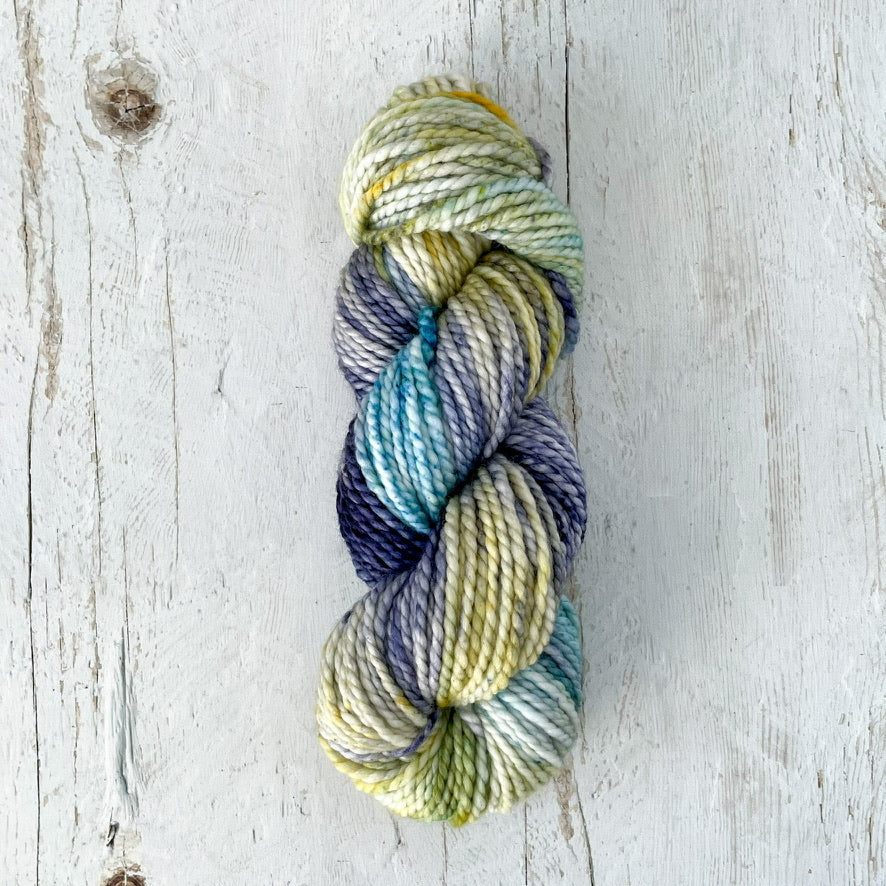Titmouse on chunky sw merino base - ready to ship!