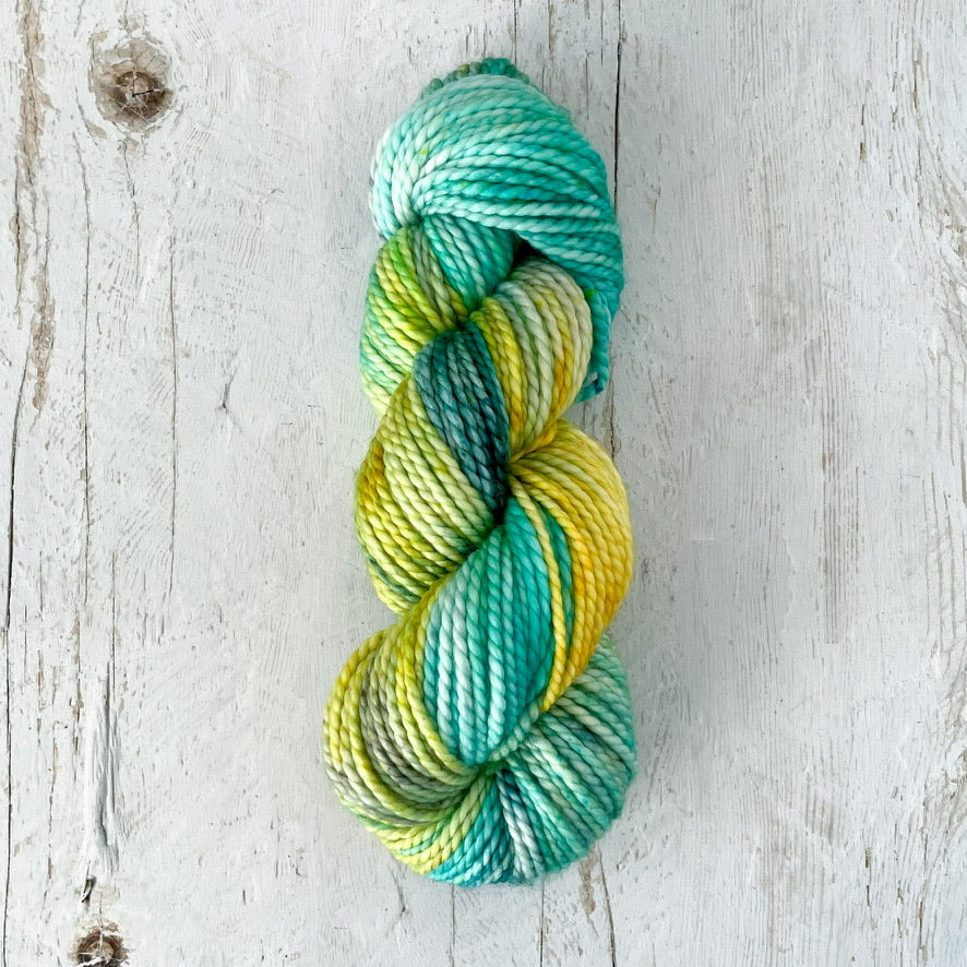 Sunlit Forest on chunky sw merino base - ready to ship!
