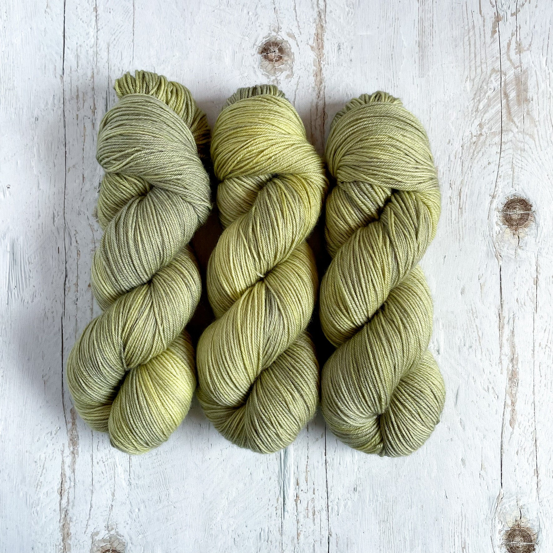 Lichen (The Basics)