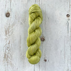 Olive (The Basics)